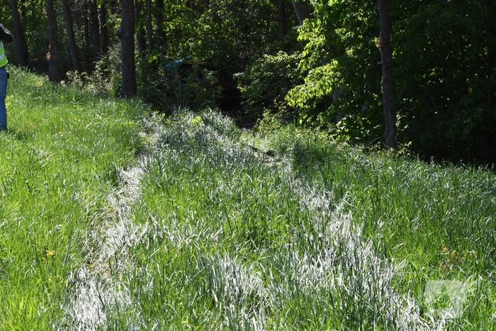 Bestuurster rakelings langs bomen bij ongeval