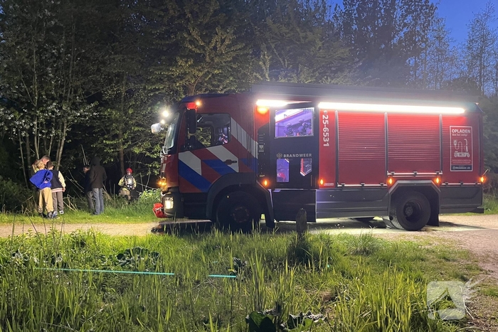 Brand in bosgebied snel onder controle