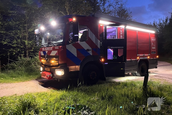 Brand in bosgebied snel onder controle