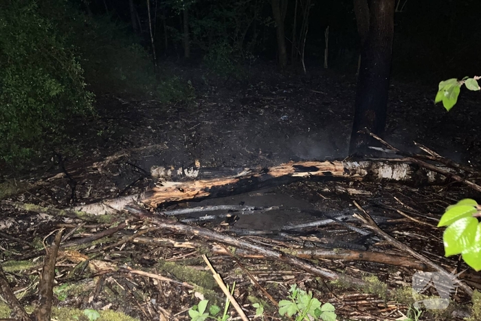 Brand in bosgebied snel onder controle