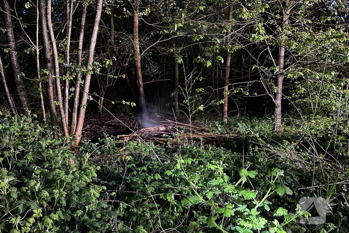 Brand in bosgebied snel onder controle