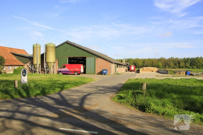 Brandweer helpt boer met koeien in problemen