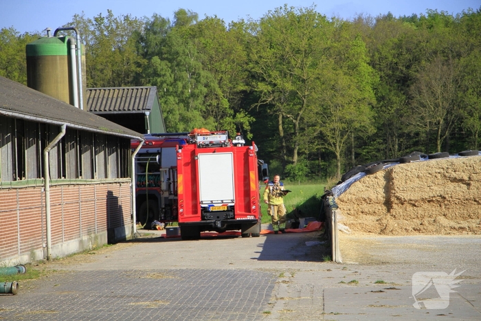 Brandweer helpt boer met koeien in problemen