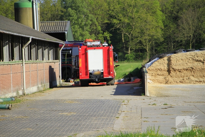 Brandweer helpt boer met koeien in problemen