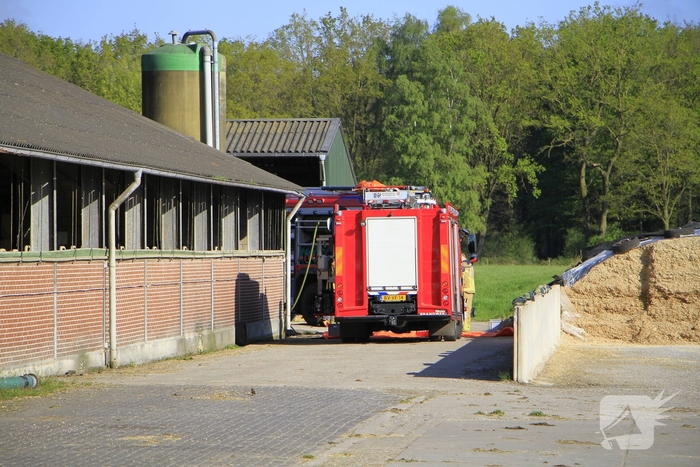 Brandweer helpt boer met koeien in problemen