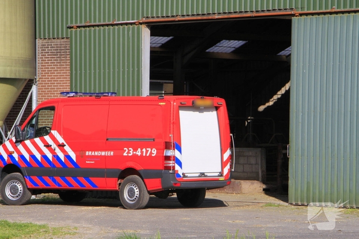 Brandweer helpt boer met koeien in problemen