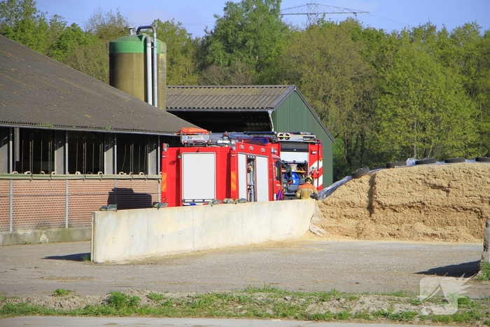 Brandweer helpt boer met koeien in problemen