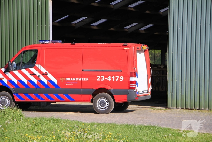 Brandweer helpt boer met koeien in problemen