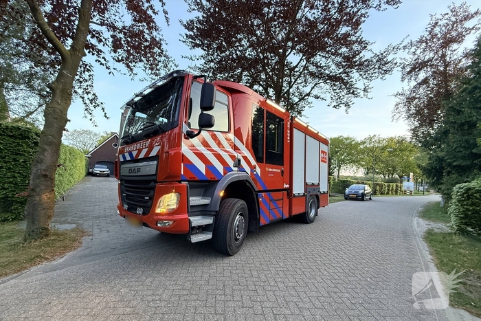 Kat bevrijd uit stenen pizzaoven