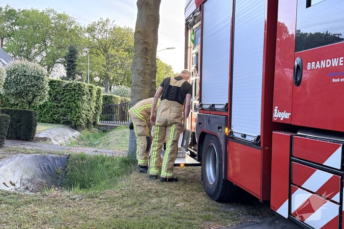 Kat bevrijd uit stenen pizzaoven