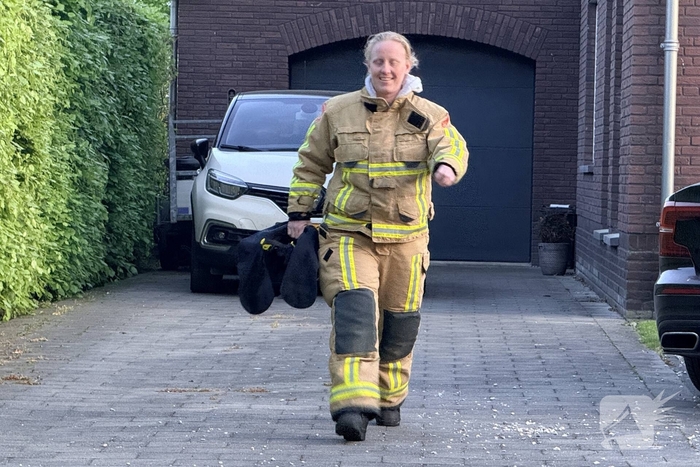 Kat bevrijd uit stenen pizzaoven