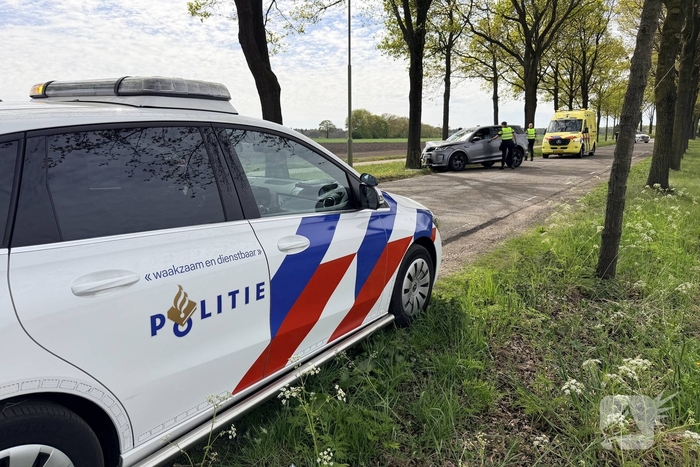 Automobilist botst tegen boom en raakt gewond