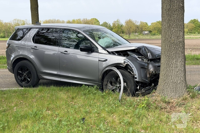 Automobilist botst tegen boom en raakt gewond
