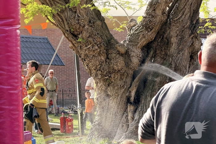 Buitenbrand in Veghel: boom in vlammen