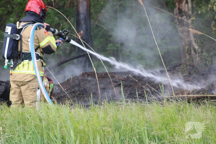 Brandende boomstammen moeilijk te bereiken