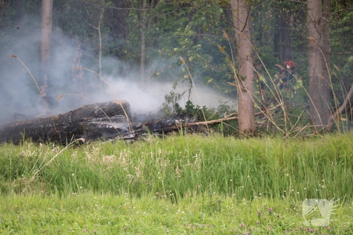 Brandende boomstammen moeilijk te bereiken