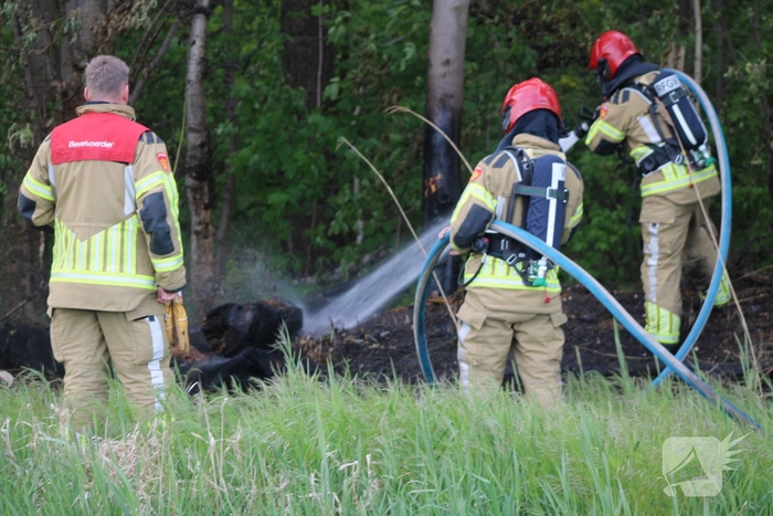 Brandende boomstammen moeilijk te bereiken