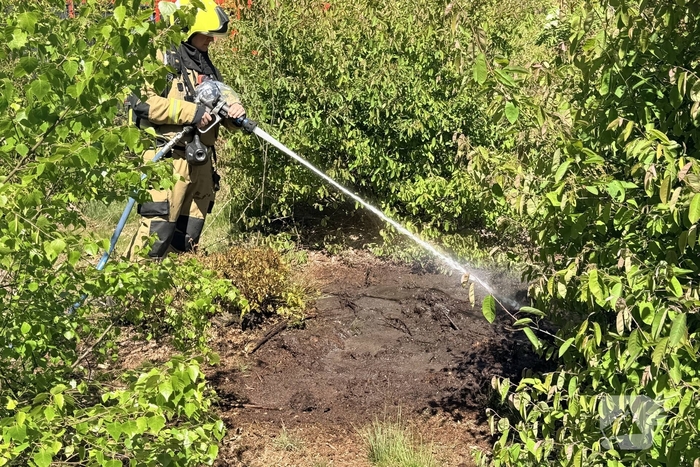 Brandweer blust buitenbrand in bos