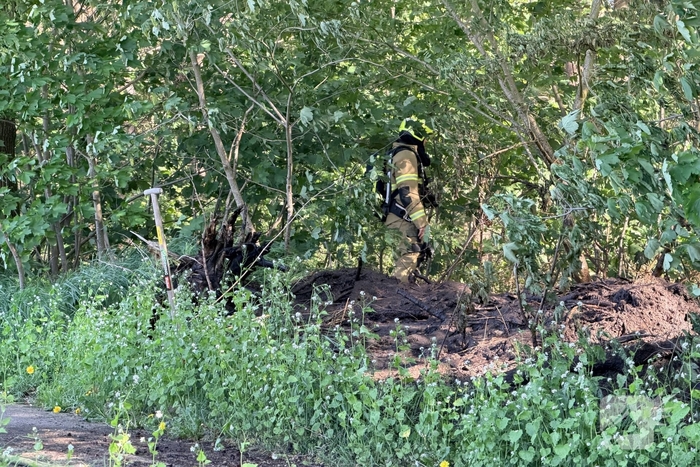 Brand in bosgebied vergt inzet van hulpdiensten