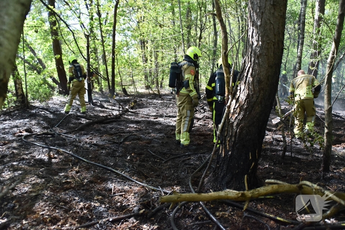 Brand in natuurgebied snel geblust