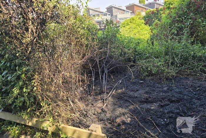 Herhaalde brand in berm en struikgewas