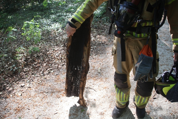 Brandende boomstam geblust met emmers water