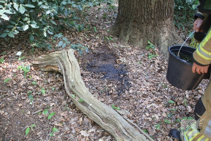 Brandende boomstam geblust met emmers water