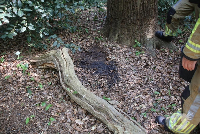 Brandende boomstam geblust met emmers water