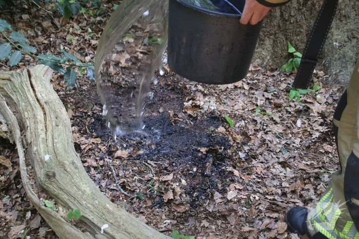Brandende boomstam geblust met emmers water