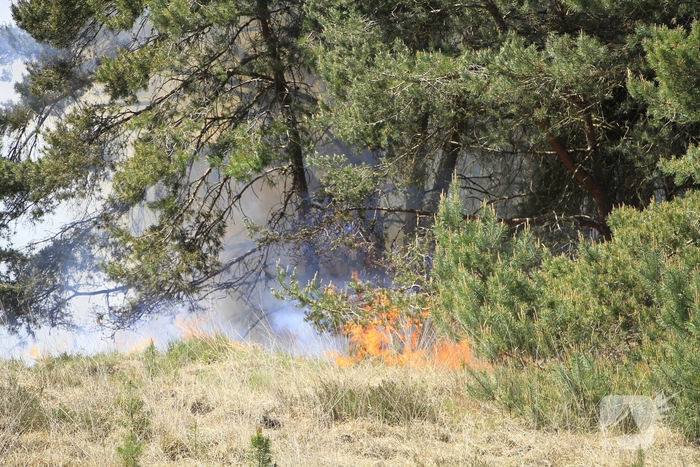 Heidebrand op oefenterrein Defensie snel opgeschaald