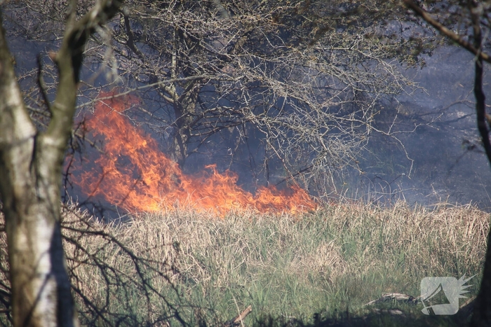 Brand in duingebied zorgt voor rookontwikkeling