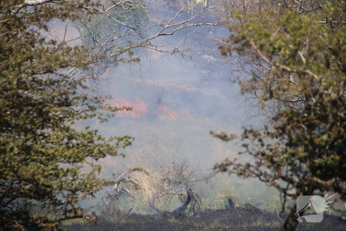 Brand in duingebied zorgt voor rookontwikkeling