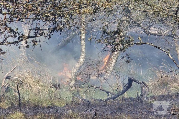 Brand in duingebied zorgt voor rookontwikkeling