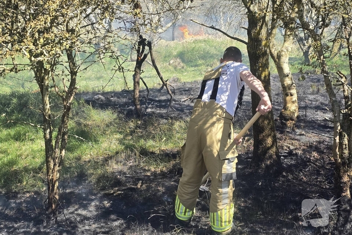 Brand in duingebied zorgt voor rookontwikkeling