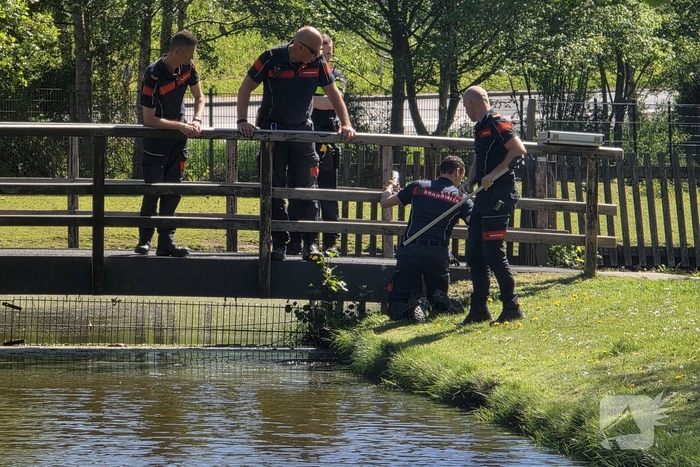 Politie verliest portofoon tijdens achtervolging