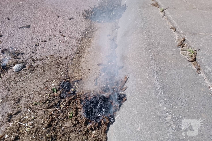 Brandweer blust smeulende boomzaden