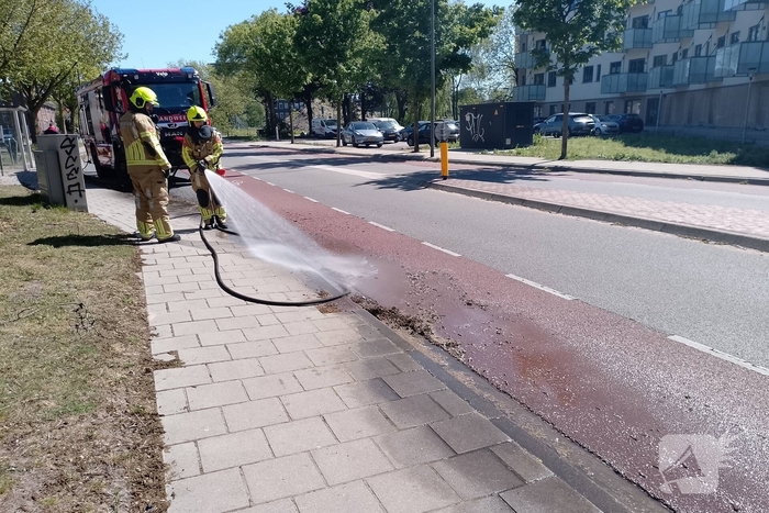 Brandweer blust smeulende boomzaden