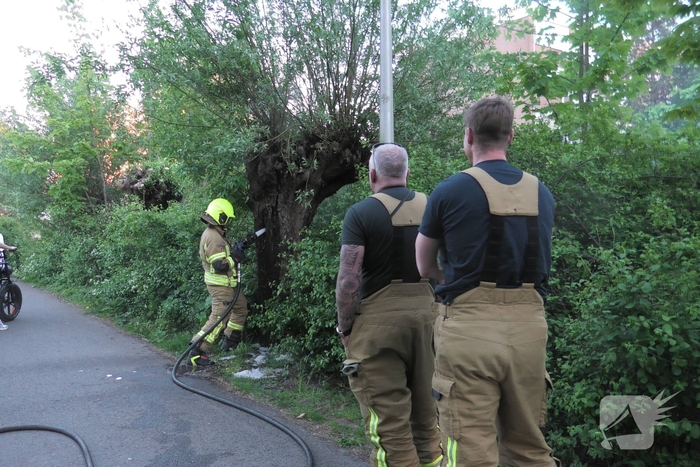 Brand in berm en boom bestreden door brandweer