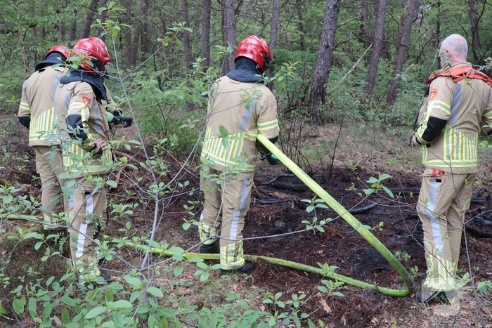 Beginnende bosbrand snel geblust