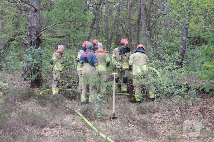Beginnende bosbrand snel geblust