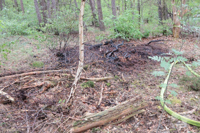 Beginnende bosbrand snel geblust