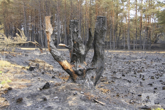 Schade door natuurbrand goed zichtbaar