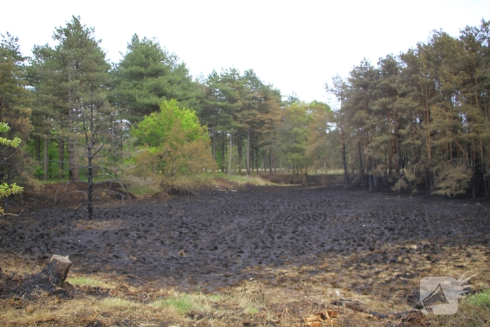 Schade door natuurbrand goed zichtbaar
