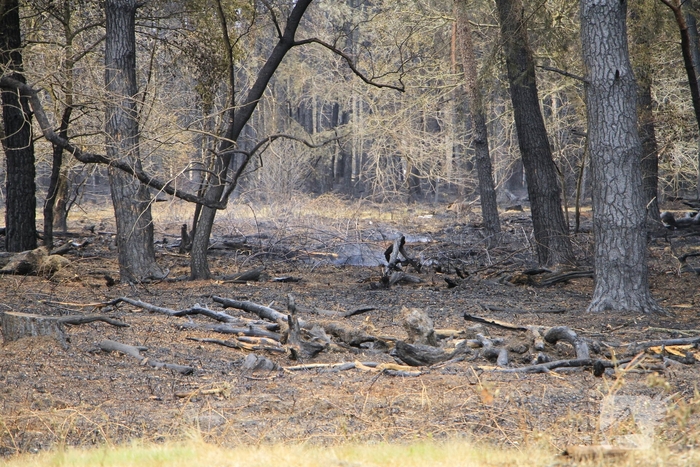 Schade door natuurbrand goed zichtbaar