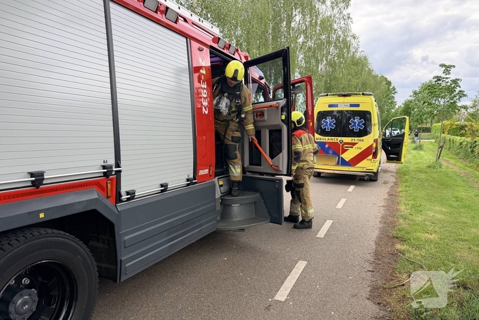 Tesla botst tegen boom met lichte verwondingen