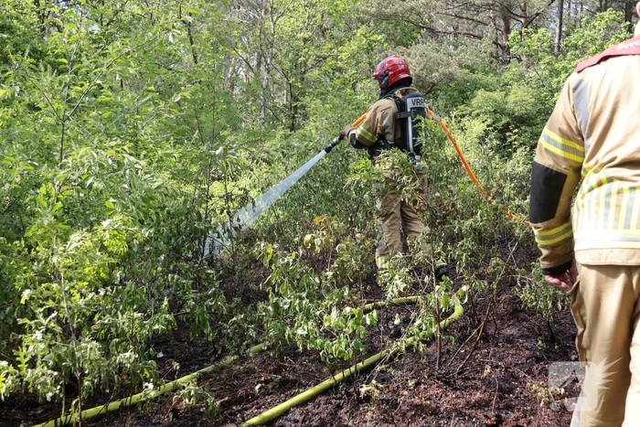 Brand in bosgebied onder controle
