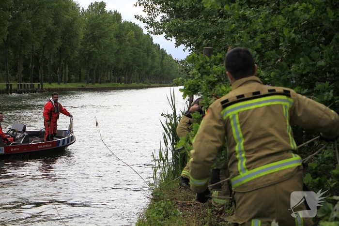 Ree sterft na reddingsactie van brandweer