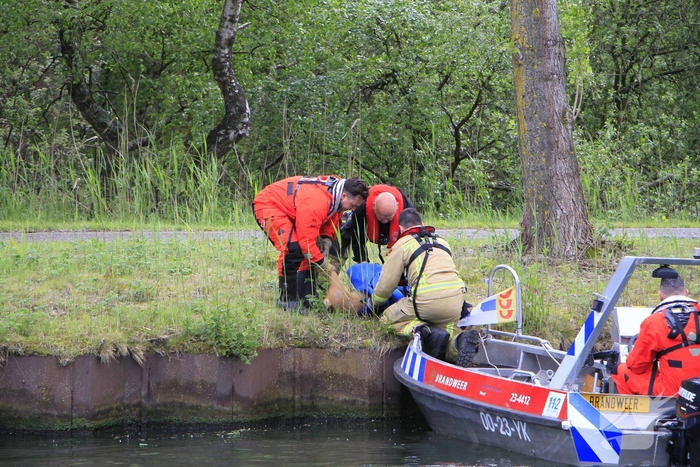 Ree sterft na reddingsactie van brandweer