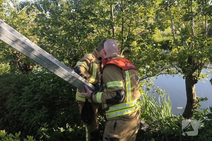 Brandweer redt aalscholver