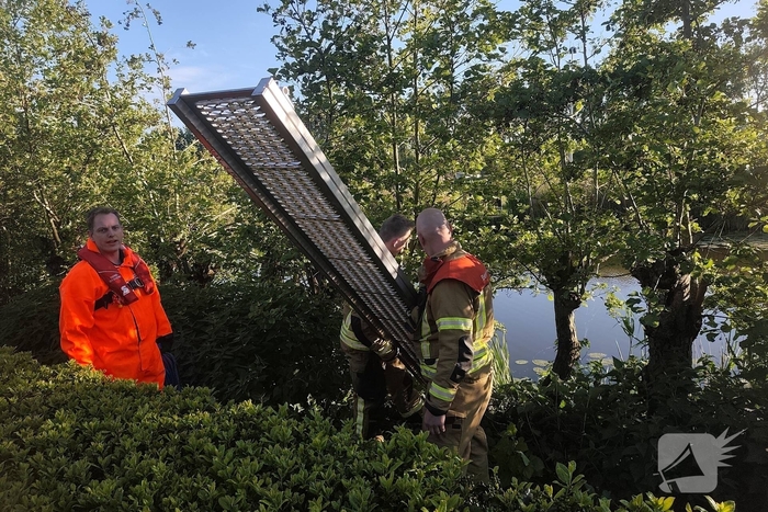 Brandweer redt aalscholver